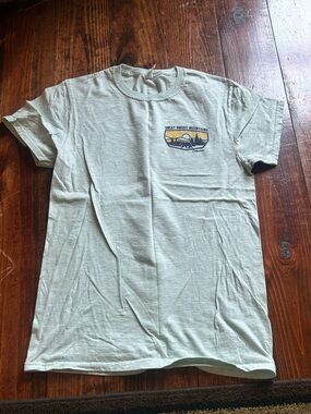 Dollywood Tee in light green NWOT